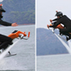 Illustration for article titled This Jetbike Looks Like the Most Fun You Could Ever Have On the Water